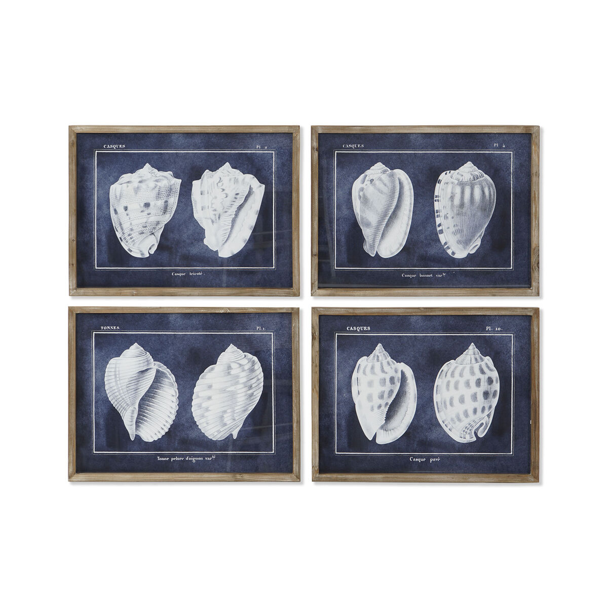 Maľba Home ESPRIT Slimák 60 x 2,5 x 45 cm (4 kusov)
