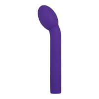 Vibrátor na stimuláciu bodu G Evolved Purpurová