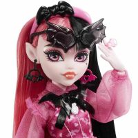 Bábika Monster High HHK51 Pohyblivý