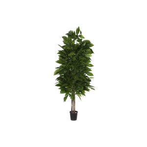 Strom Home ESPRIT Polyester Drevo 100 x 100 x 185 cm