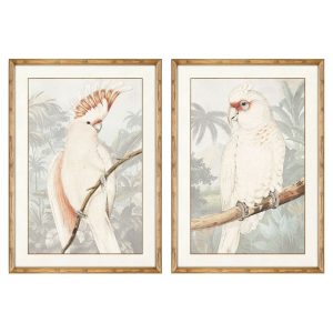 Maľba DKD Home Decor papagáj Tropické 50 x 3 x 70 cm (2 kusov)