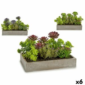 Okrasná rastlina Sukulent Plastické Cement 16,5 x 20 x 28,5 cm (6 kusov)