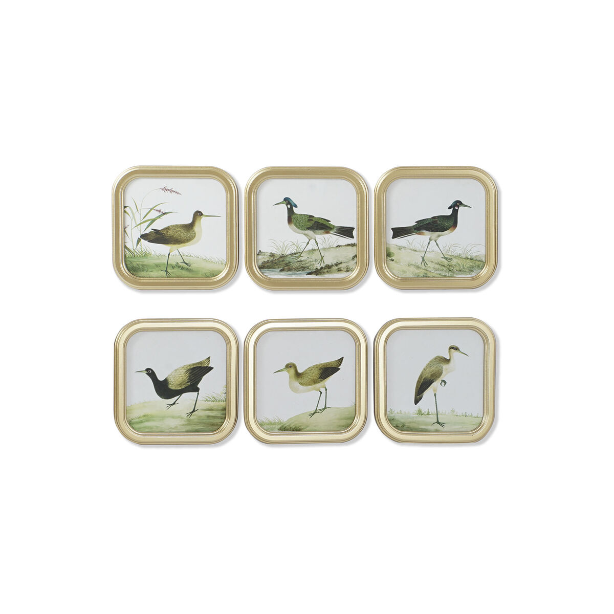Maľba DKD Home Decor Vtáky Cottage 30 x 2 x 30 cm (6 kusov)