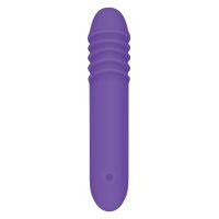 Vibrátor na stimuláciu bodu G Evolved Purpurová