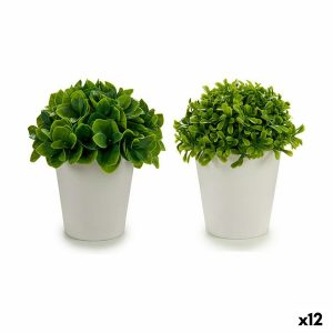 Okrasná rastlina Plastické 13 x 17 x 13 cm (12 kusov)