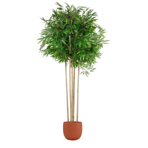 Strom Home ESPRIT Polyester Bambus 80 x 80 x 180 cm