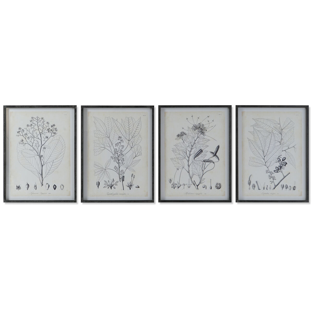 Maľba DKD Home Decor Moderný Botanické rastliny 45 x 2,5 x 60 cm (4 kusov)