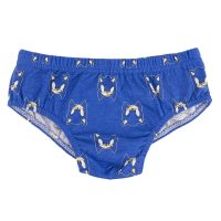 Pánske boxerky balenie Sonic Viacfarebná 5 kusov