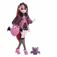 Bábika Monster High HHK51 Pohyblivý