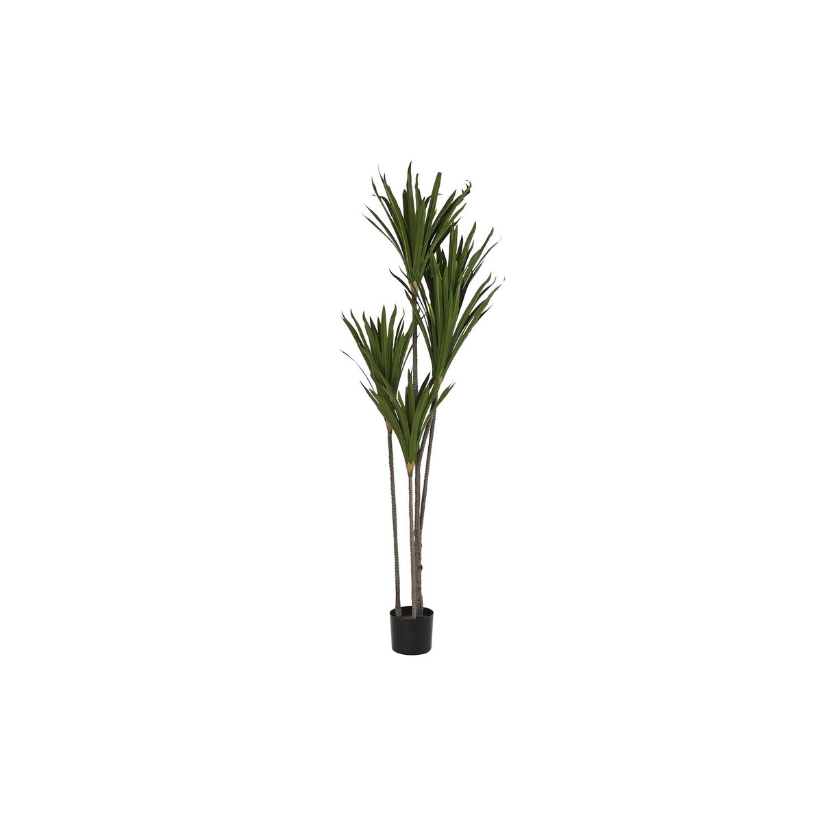 Okrasná rastlina DKD Home Decor (80 x 80 x 180 cm)
