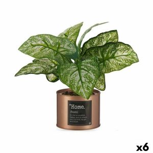 Okrasná rastlina Home Medený Plechovka (26 x 26 x 26 cm) (6 kusov)