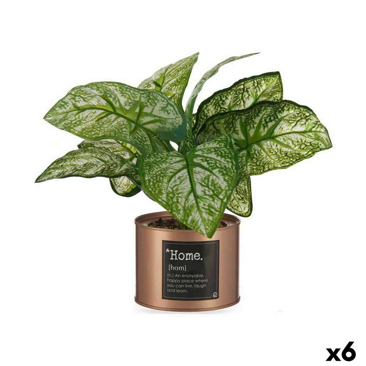 Okrasná rastlina Home Medený Plechovka (26 x 26 x 26 cm) (6 kusov)