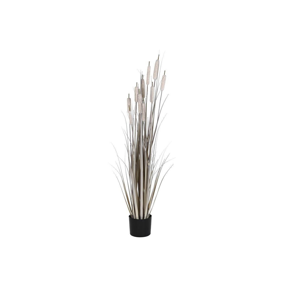 Okrasná rastlina DKD Home Decor Sitina (35 x 35 x 120 cm)