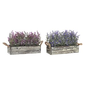 Okrasná rastlina DKD Home Decor 30 x 12 x 21 cm Drevo Fialová Polyetylén Fuchsiová (2 kusov)