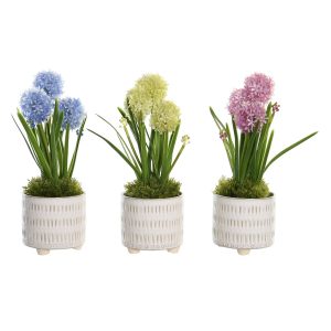Okrasná rastlina DKD Home Decor Pena Modrá Ružová Žltá Polypropylén 15 x 15 x 30 cm (3 Kusy)