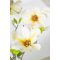 Decorative Flowers Romimex Biela Magnolia 70 x 150 x 60 cm