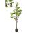 Decorative Flowers Romimex Biela Magnolia 50 x 160 x 50 cm
